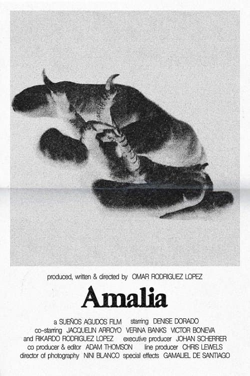 Amaliaのポスター