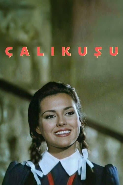 Çalıkuşuのポスター