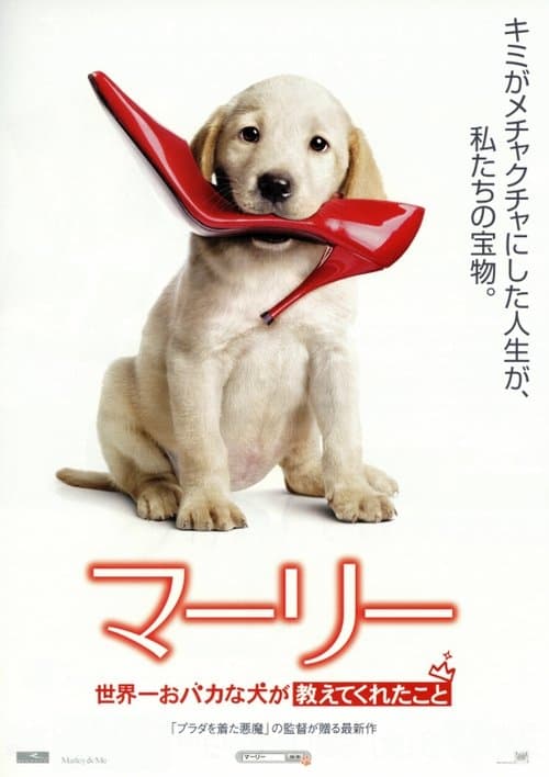 マーリー 世界一おバカな犬が教えてくれたことのポスター