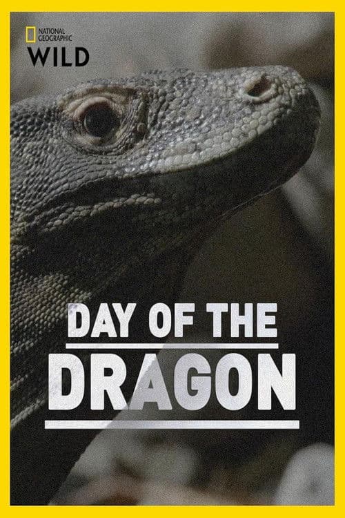 Day of the Dragonのポスター