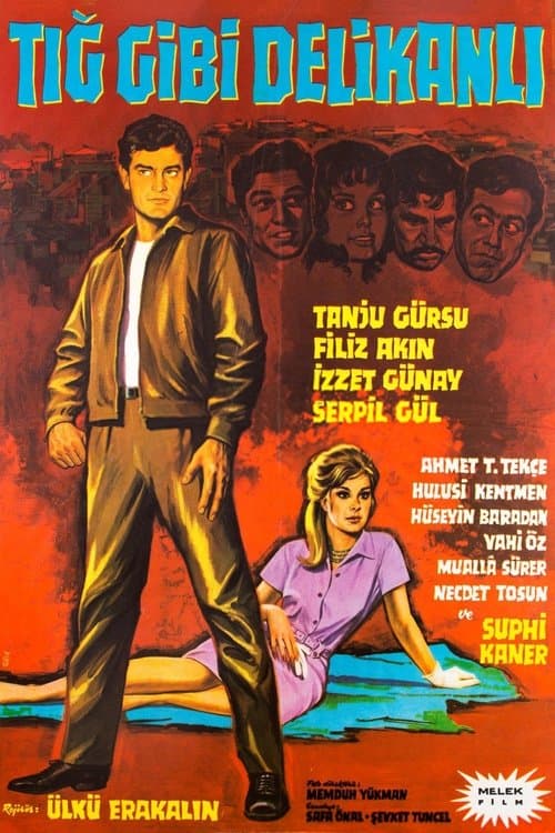 Tığ Gibi Delikanlıのポスター