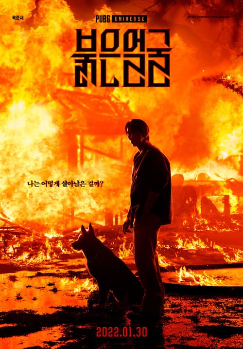 붉은 얼굴のポスター