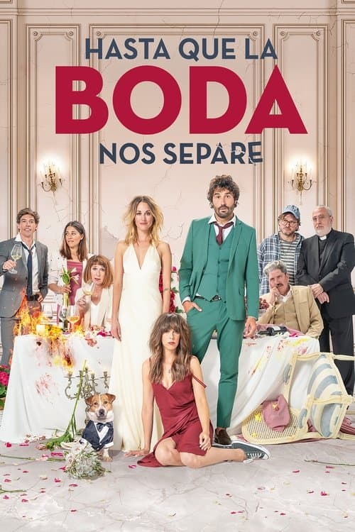 Hasta que la boda nos separeのポスター