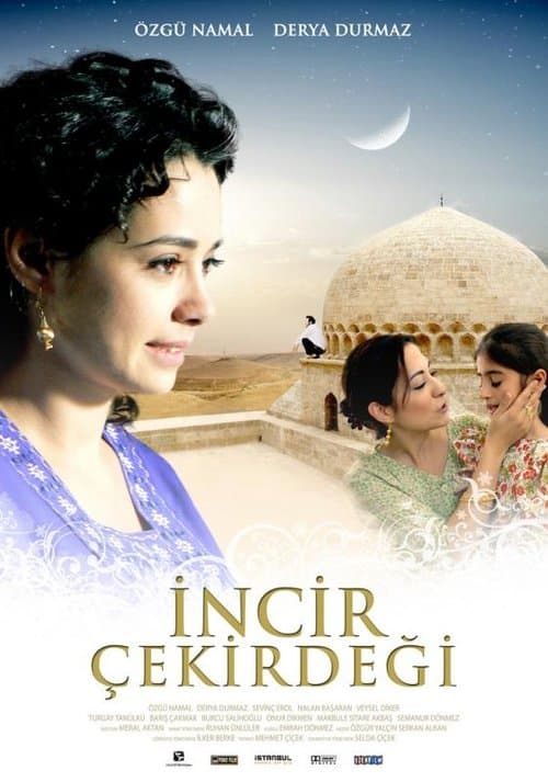 İncir Çekirdeğiのポスター