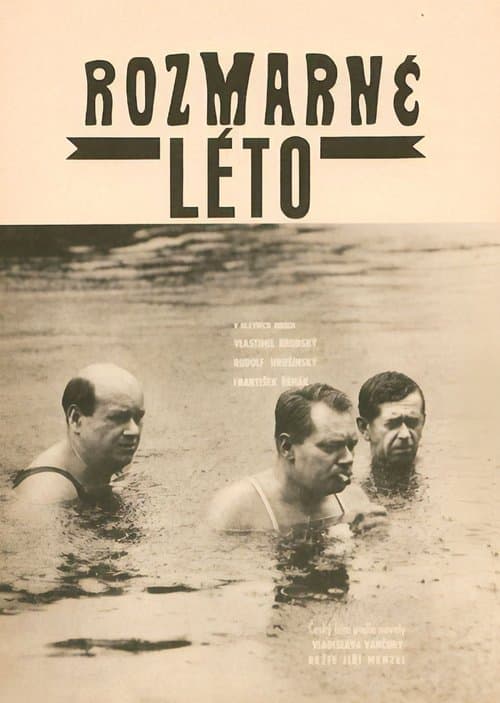 Rozmarné létoのポスター