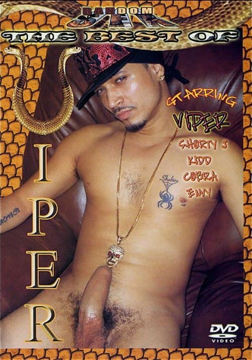 The Best of Viperのポスター