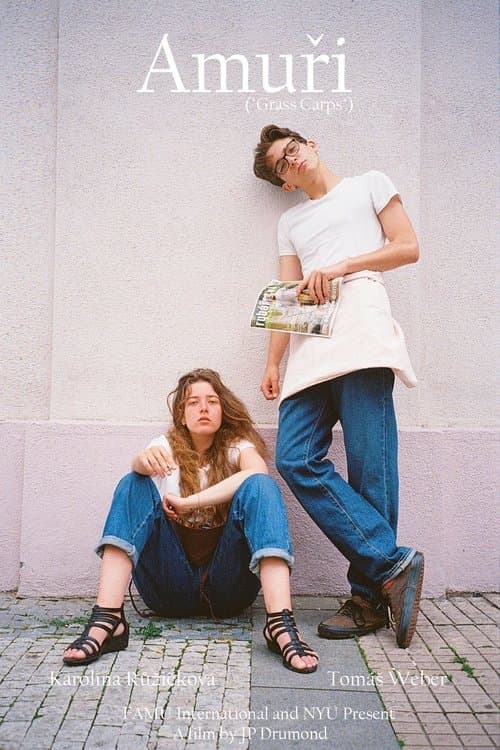 ​Amuřiのポスター