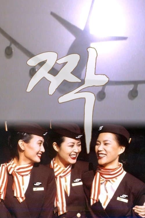 짝のポスター