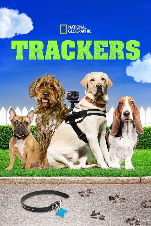 Trackersのポスター