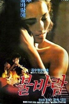 불바람のポスター