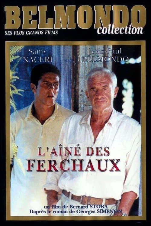 L'Aîné des Ferchauxのポスター