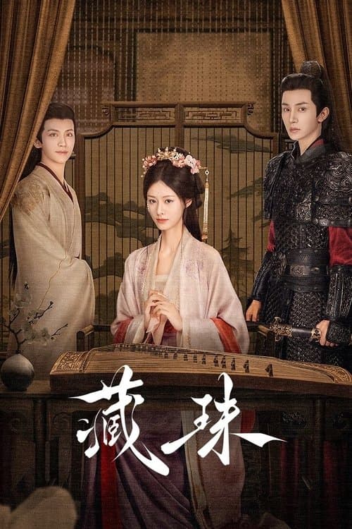 藏珠のポスター