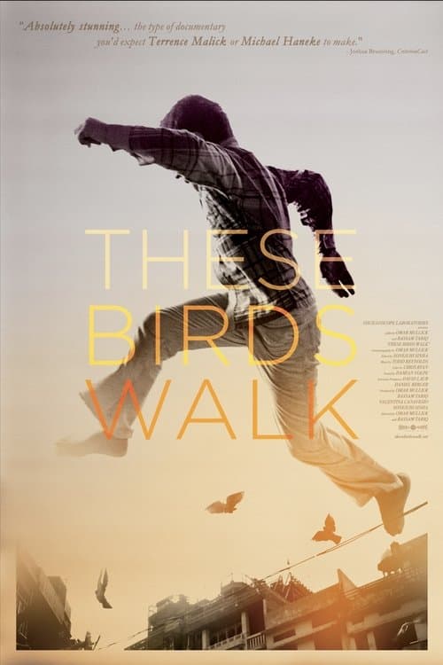 These Birds Walkのポスター