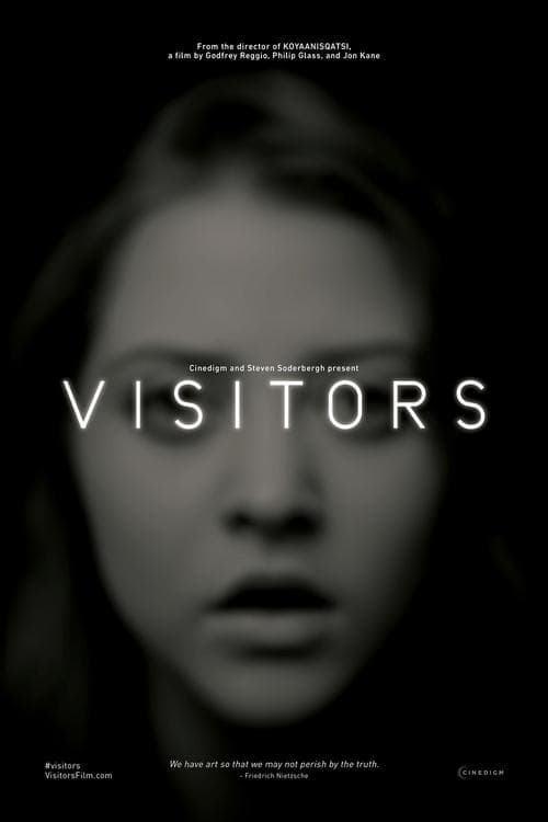 Visitorsのポスター