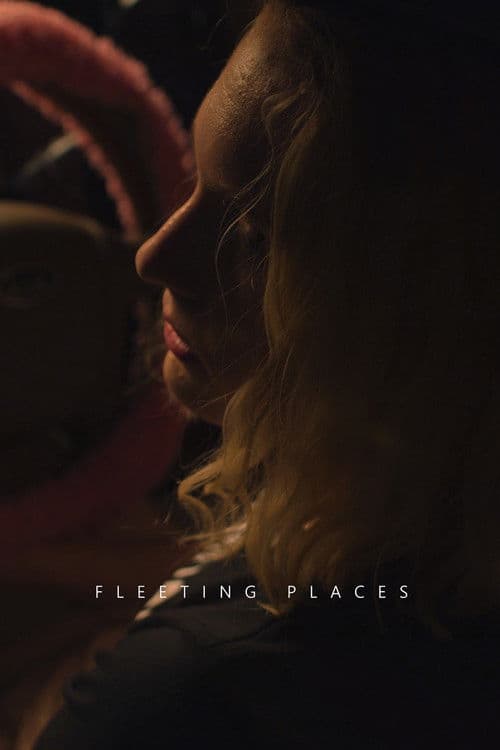 Fleeting Placesのポスター