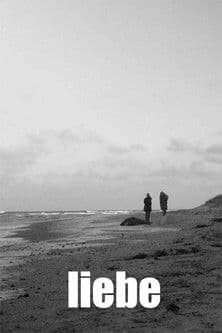 Liebeのポスター