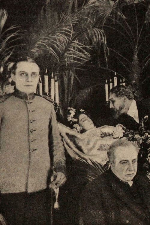 Не вынесла позораのポスター