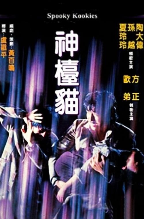 神檯貓のポスター