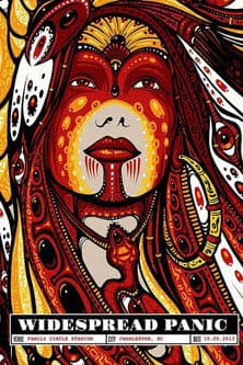 Widespread Panic: Live at Family Circle Stadium Charlestonのポスター