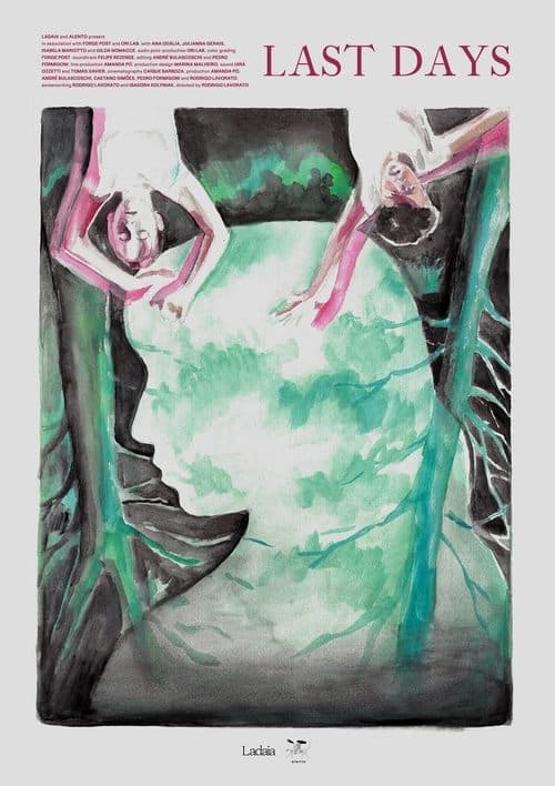 Os Últimos Dias de Duas Amigasのポスター