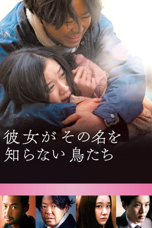 彼女がその名を知らない鳥たちのポスター