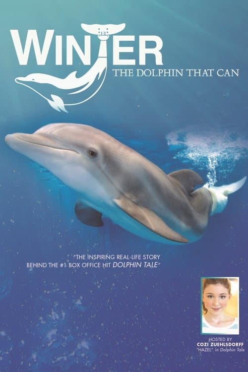 Winter, the Dolphin that Canのポスター