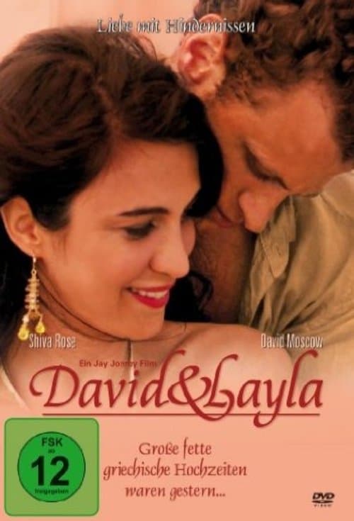 David & Laylaのポスター
