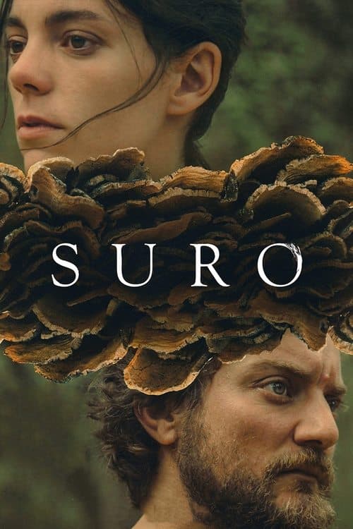 Suroのポスター