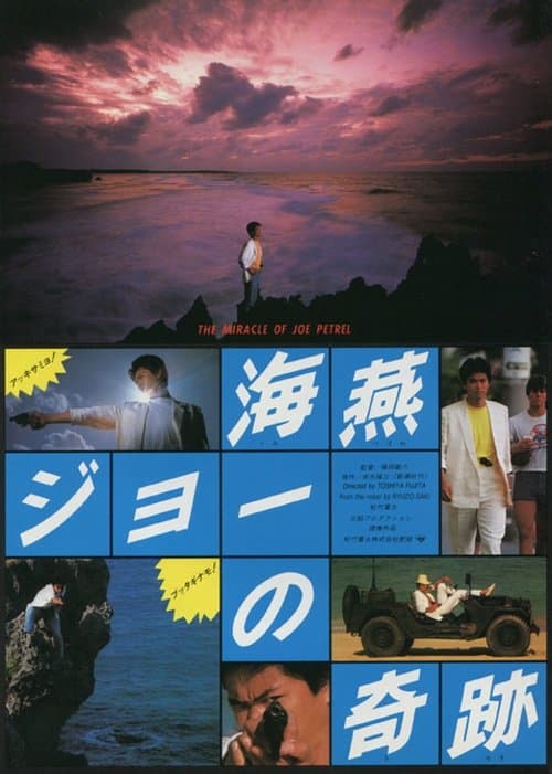 海燕ジョーの奇跡のポスター