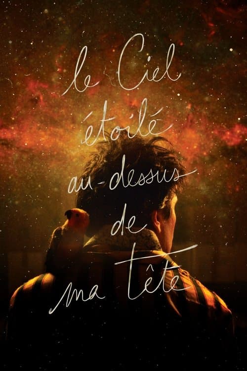 Le Ciel étoilé au-dessus de ma têteのポスター