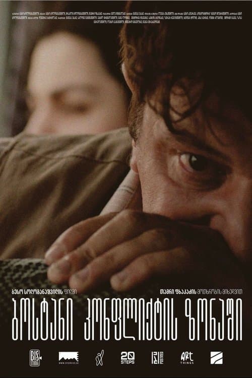 ბოსტანი კონფლიქტის ზონაშიのポスター