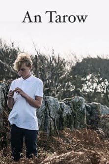 An Tarowのポスター