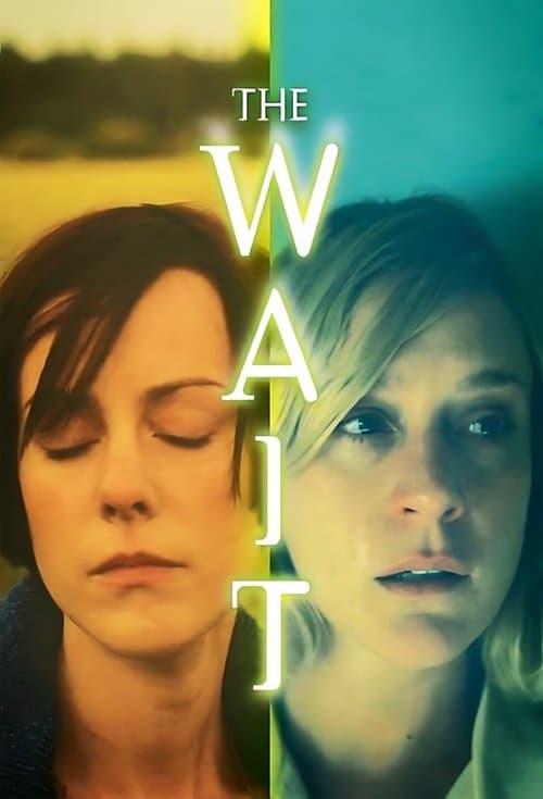 The Waitのポスター