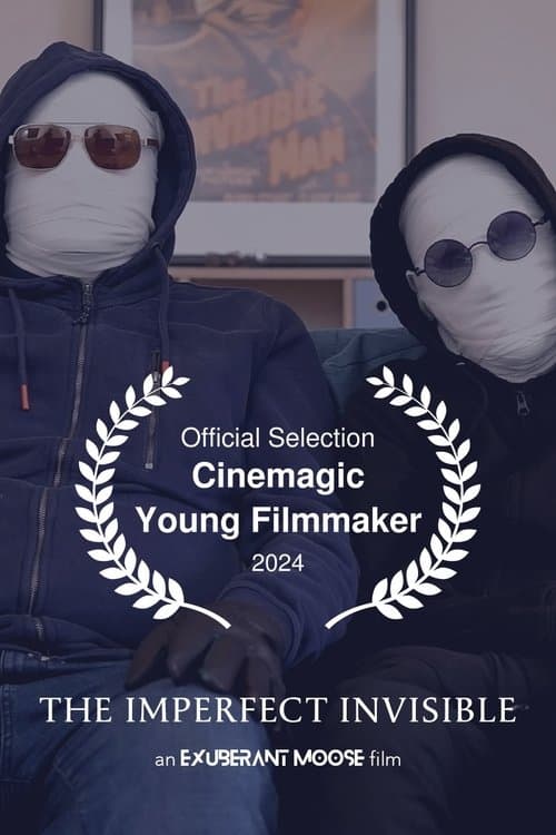 The Imperfect Invisibleのポスター