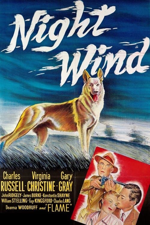 Night Windのポスター