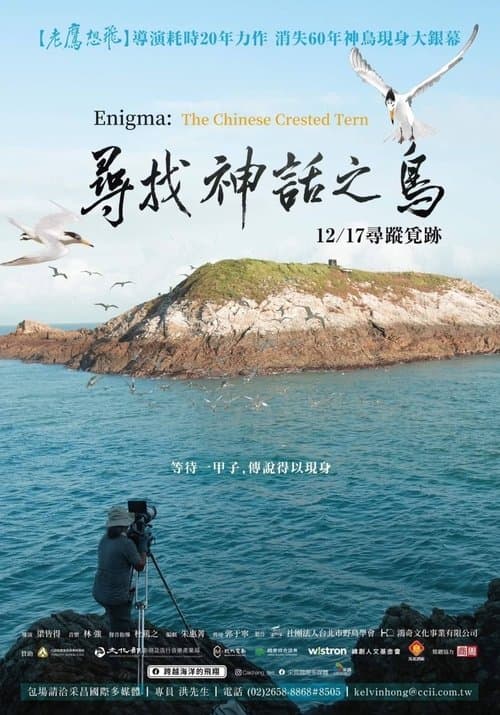 尋找神話之鳥のポスター