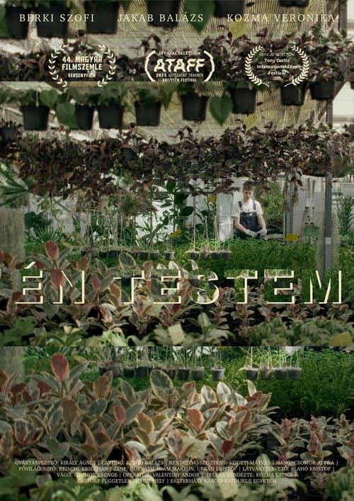 Én testemのポスター