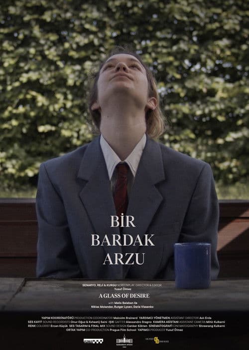 Bir Bardak Arzuのポスター