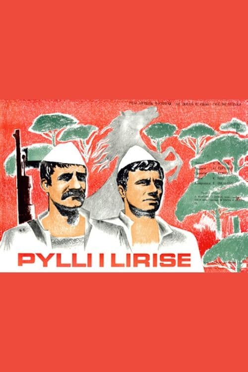 Pylli i lirisëのポスター