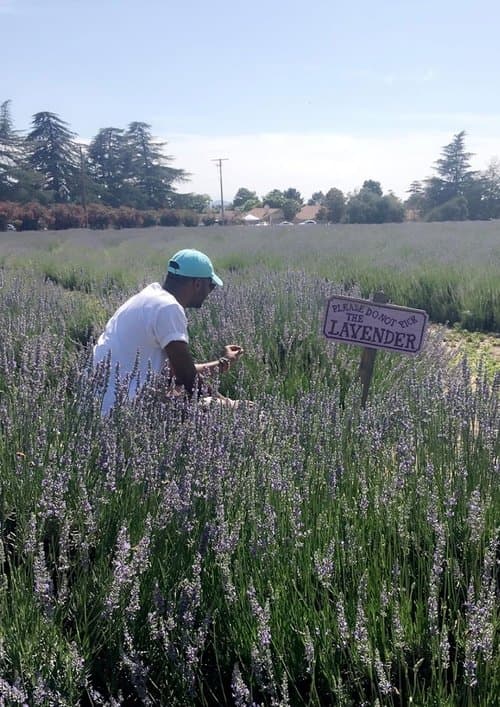 The Forfeiture Clauseのポスター