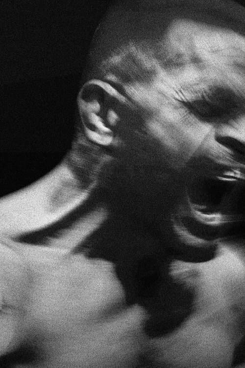 Karel vs. Karlosのポスター