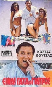 Είναι Γάτα ο Γιατρόςのポスター