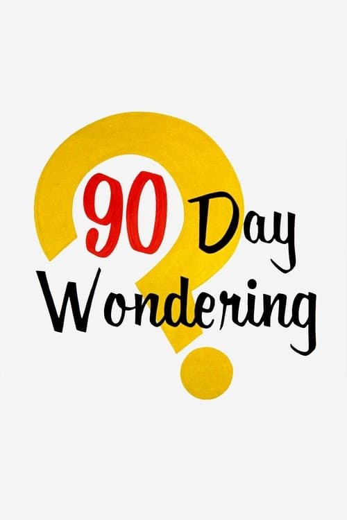 90 Day Wonderingのポスター