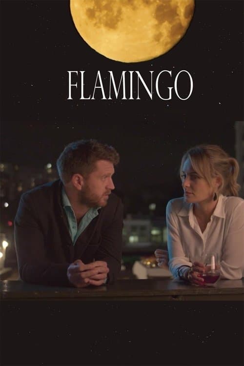 Flamingoのポスター