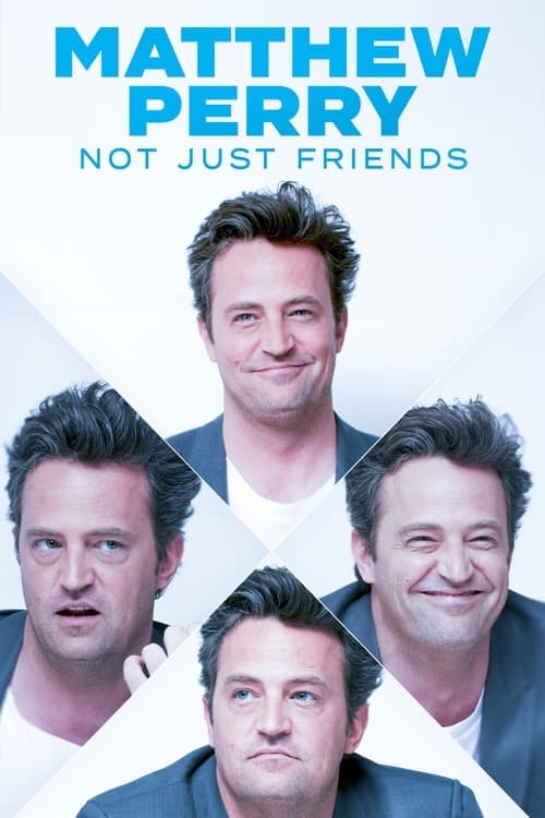 Matthew Perry: Not Just Friendsのポスター