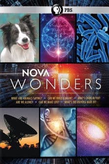 Can We Build a Brain?のポスター