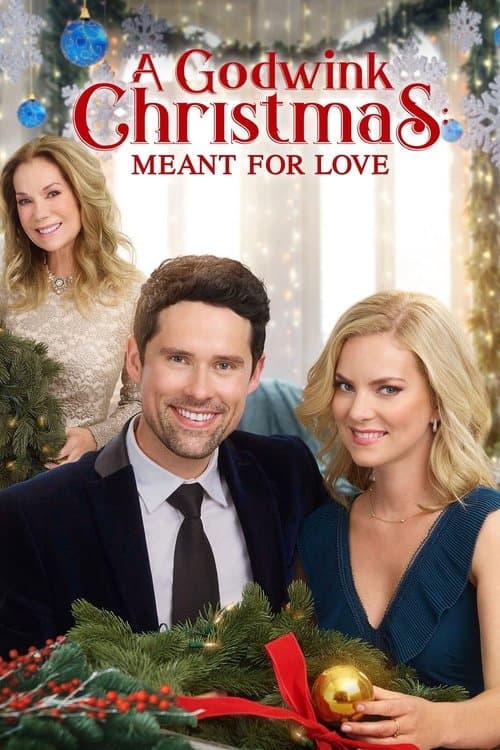 A Godwink Christmas: Meant For Loveのポスター