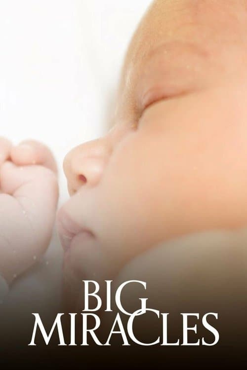 Big Miraclesのポスター