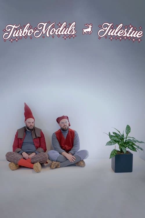 TurboModuls julestueのポスター
