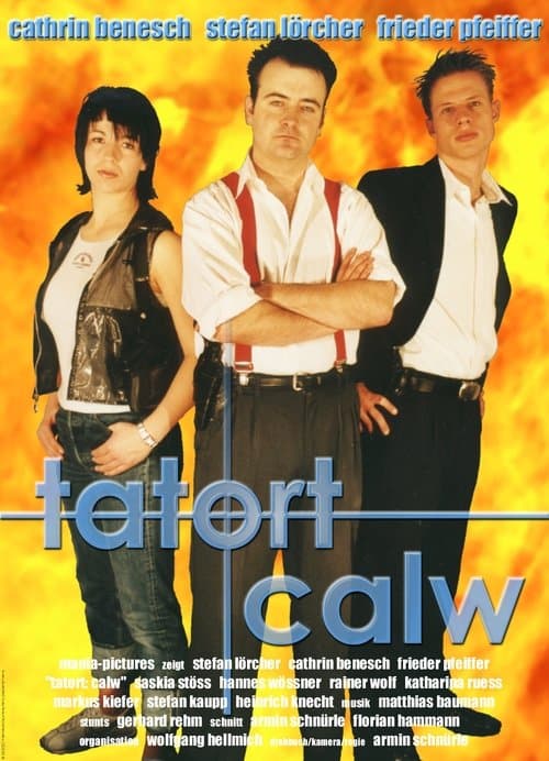 Tatort Calw - Tödliche Racheのポスター